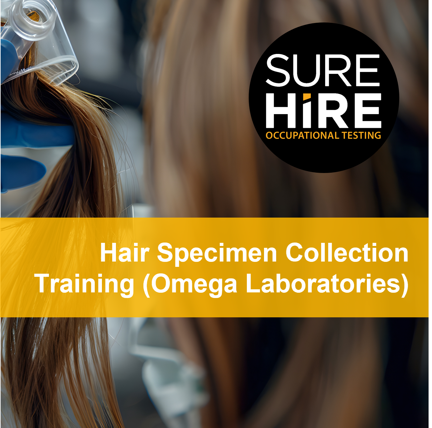 Hair Specimen Collection Training (Omega Laboratories) 2024